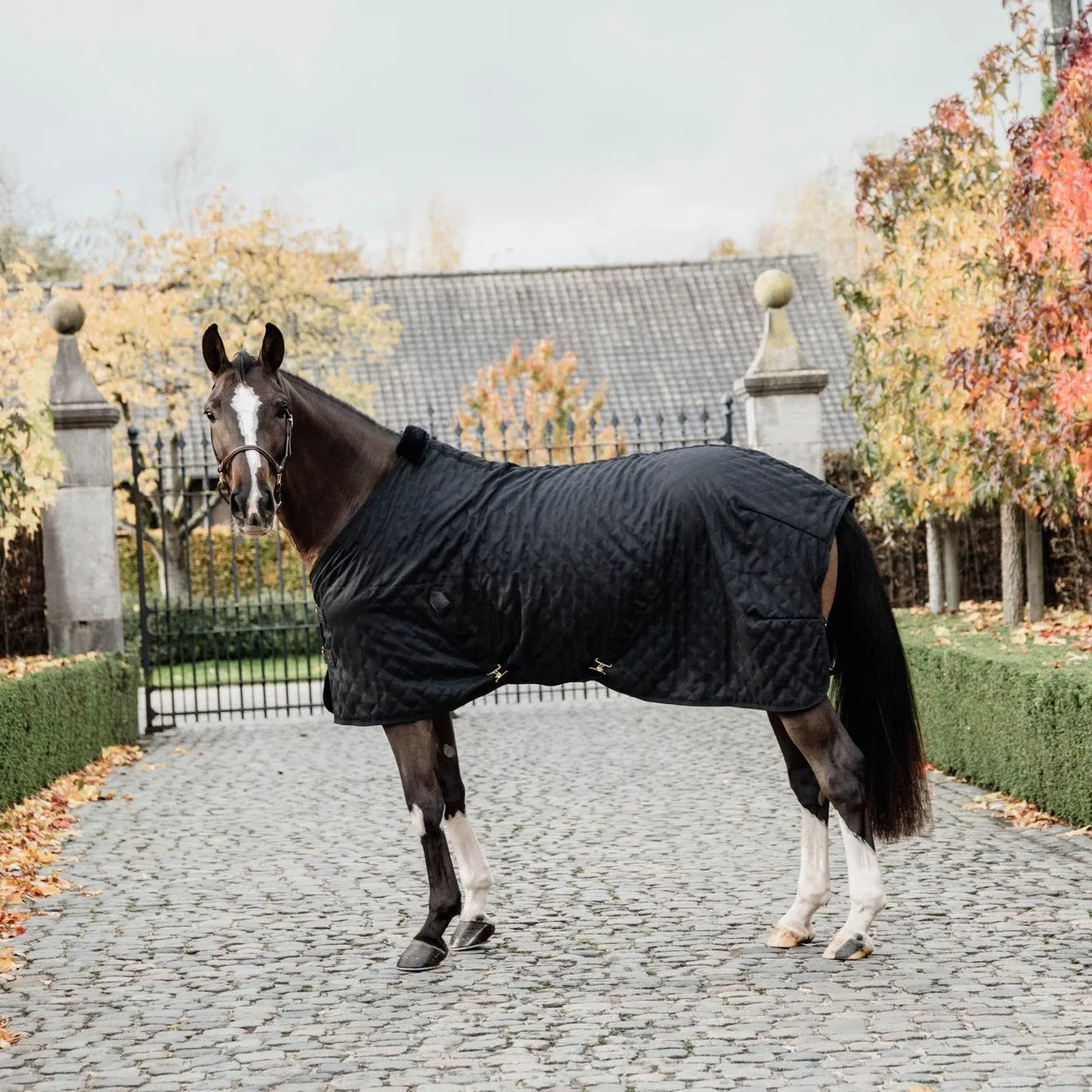 Kentucky Horsewear Stable Rug, Black