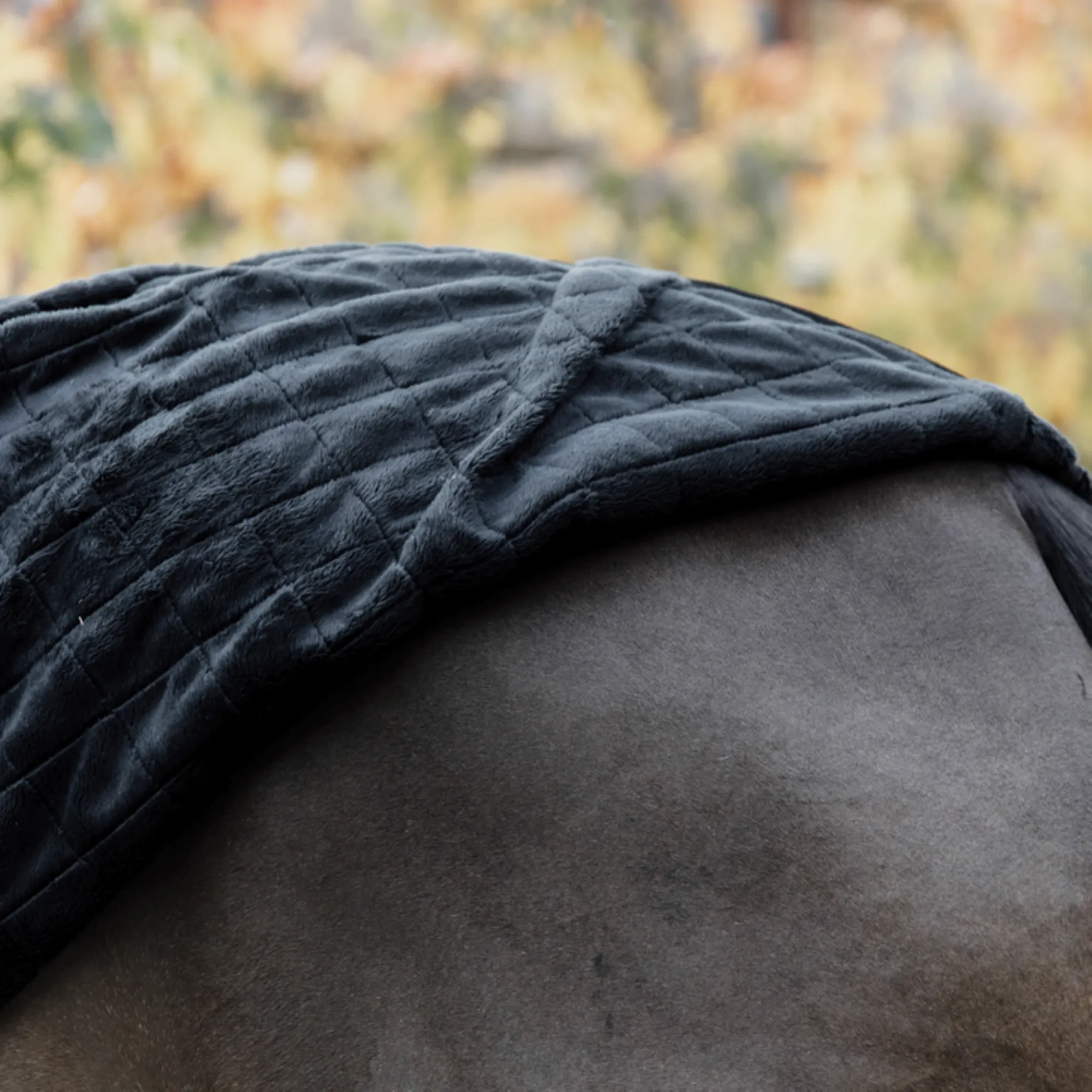 Kentucky Horsewear Stable Rug, Black