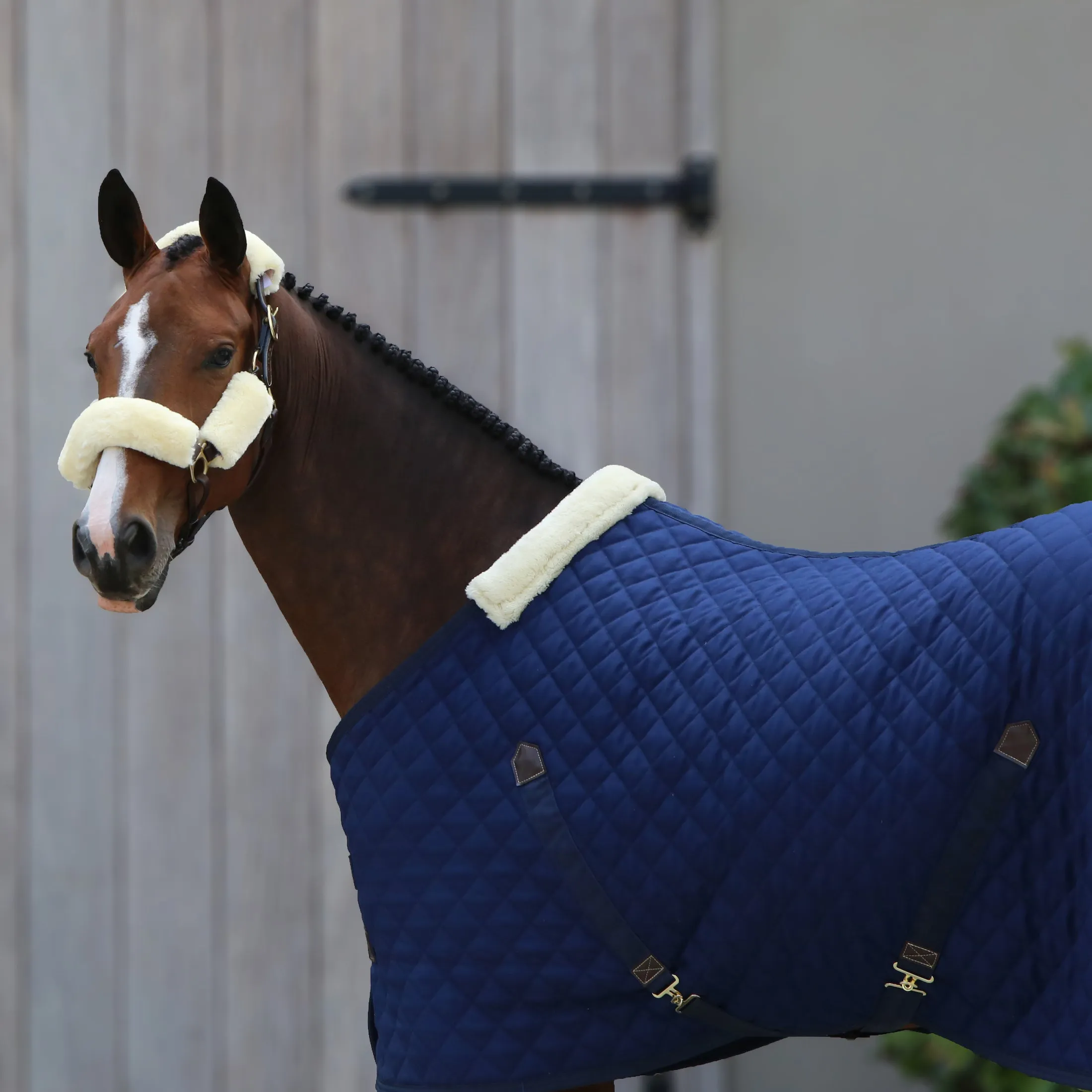 Kentucky Horsewear Stable Rug, Navy