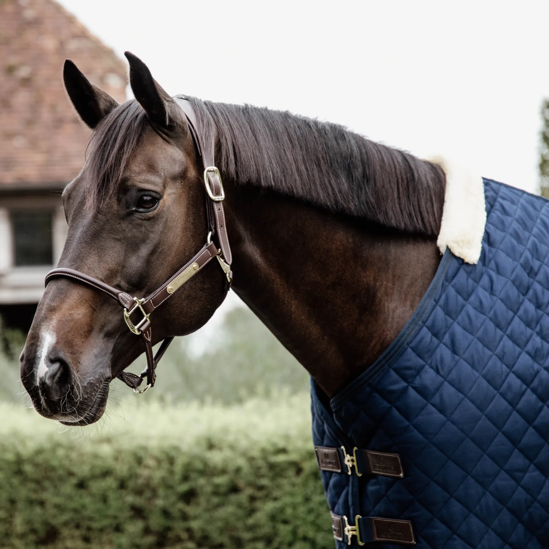 Kentucky Horsewear Stable Rug, Navy